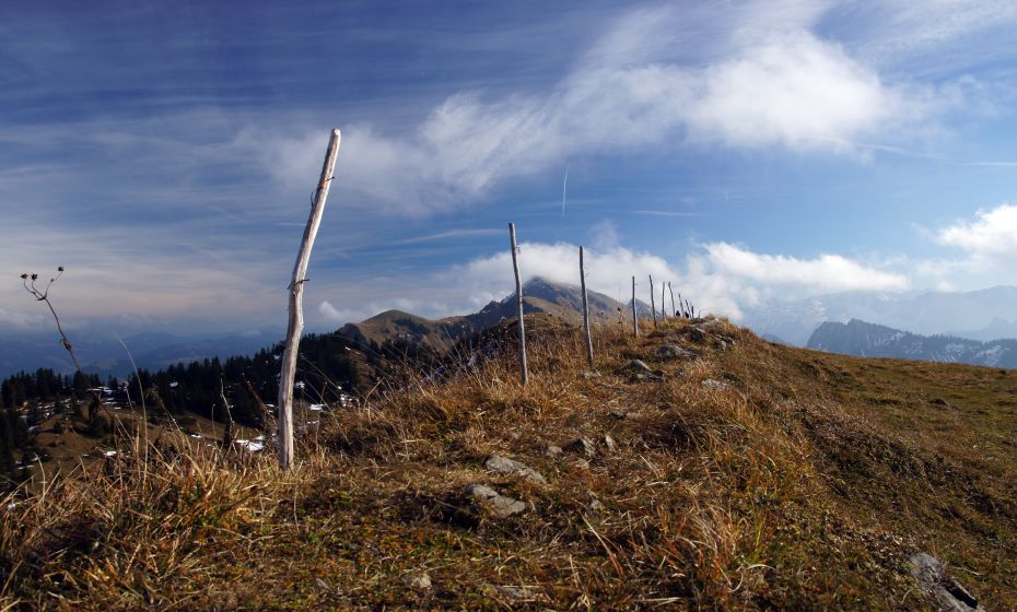 Baumgarten