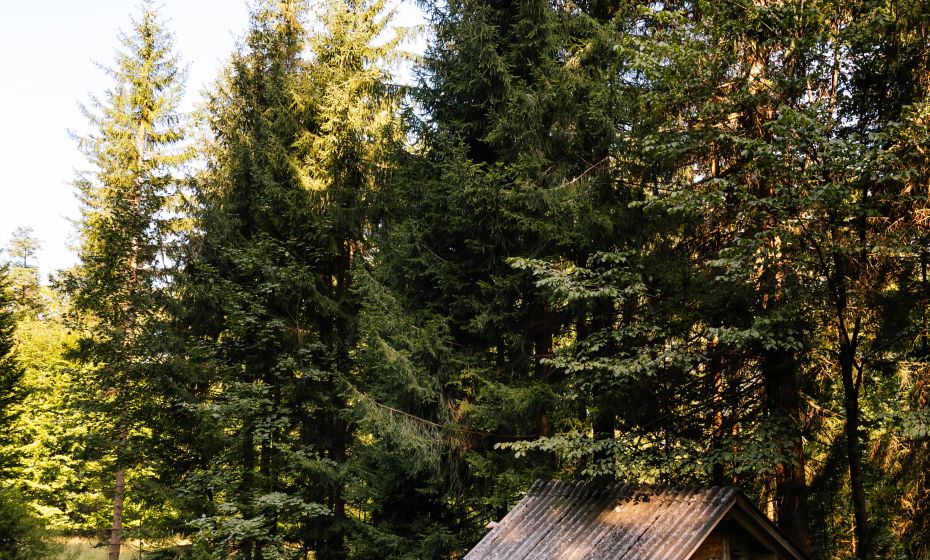 Wanderung Hohenweiler (c) Jessica Lerchenmueller (7)