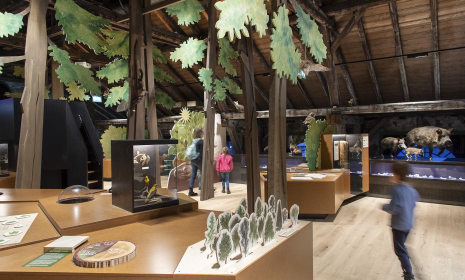 inatura Wies&Wald inatura Wies&Wald