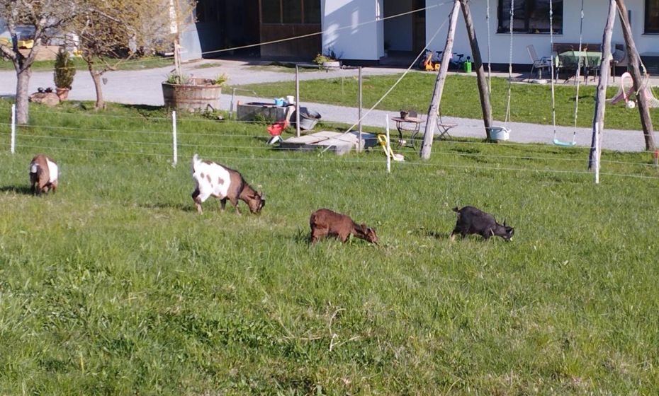 Haus Abendrot Haus Abendrot