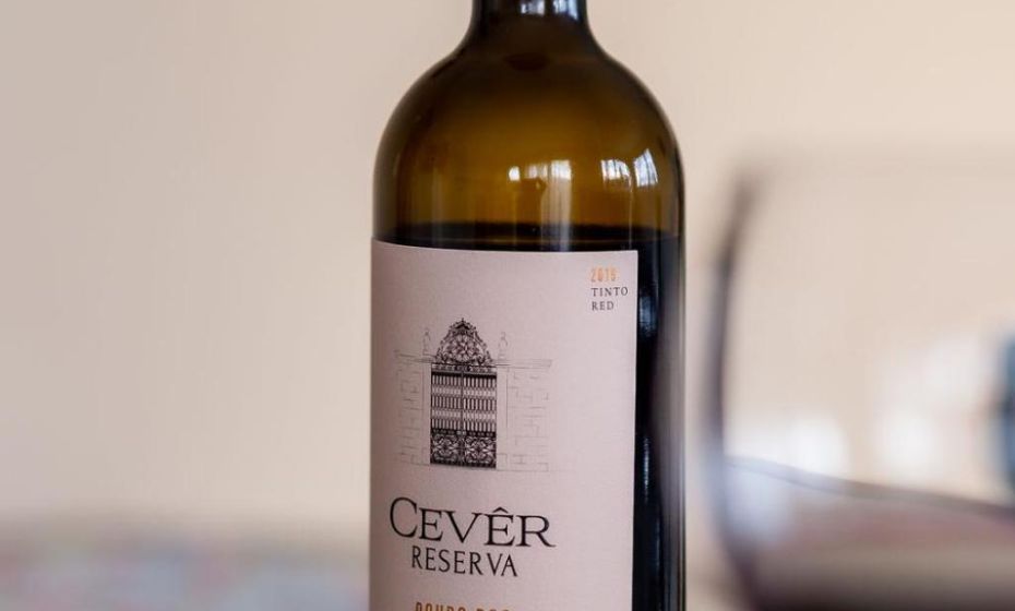 Ferien im Paradies - Wohnung Vera