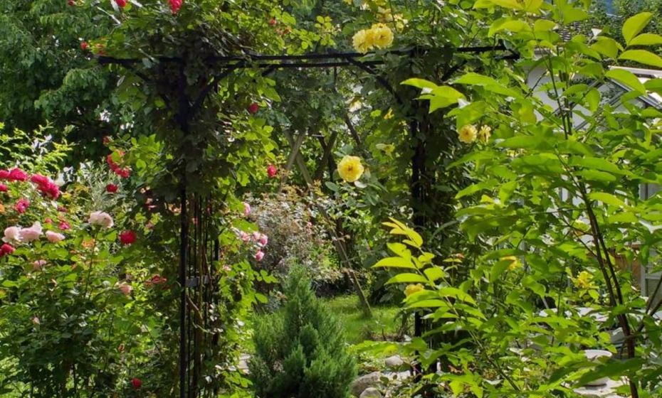 Ferien im Paradies - Wohnung Vera Ferien im Paradies - Wohnung Vera