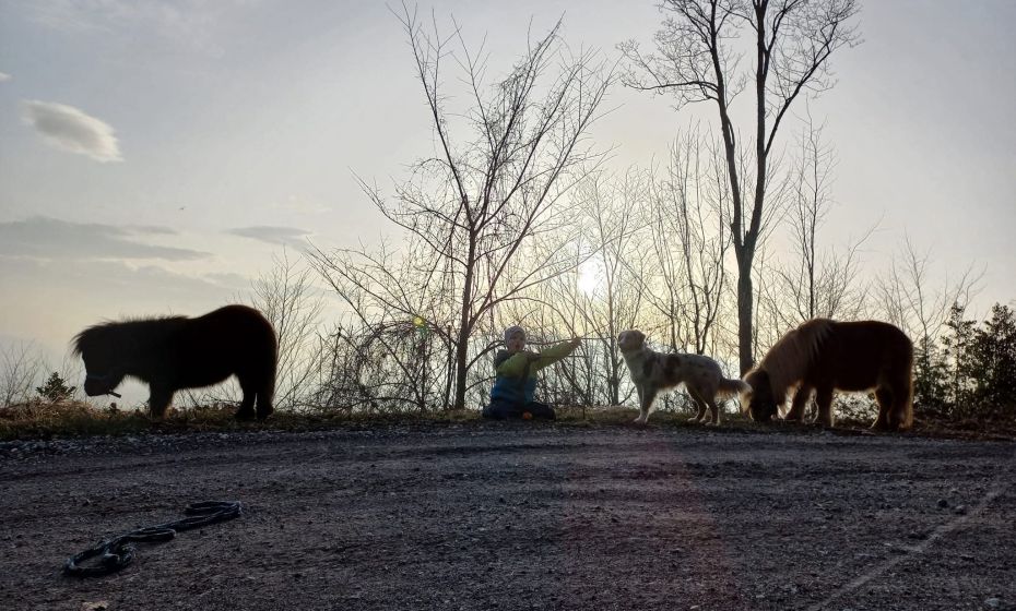 hufwärts ponytrekking 1.jpg hufwärts ponytrekking 1.jpg