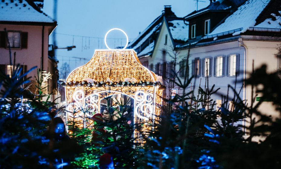 Zauberwald 2023 Zauberwald 2023