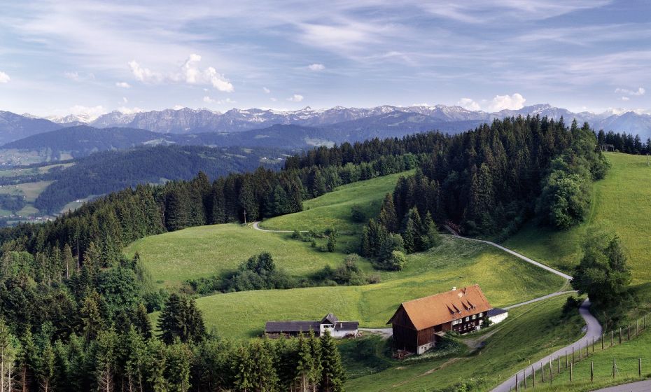 Restaurant PfÃ¤nderdohle