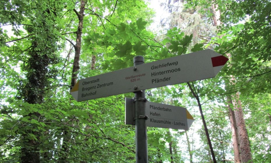 Haben sie den Blick auch mal in die Kronen des bunten Mischwaldes erhoben? Letzte Gelegenheit vor dem Ziel.