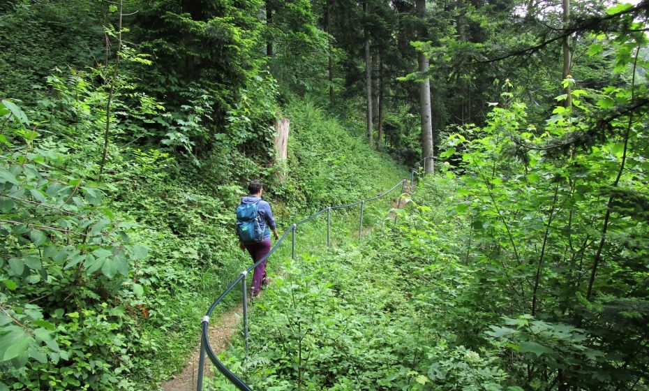 Manchmal erlaubt ein flacher Weg eine kleine Verschnaufpause