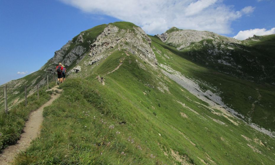 Weiter geht es auf dem "FÃ¼rstin-Gina-Steig" auf der Grenze zu Liechtenstein