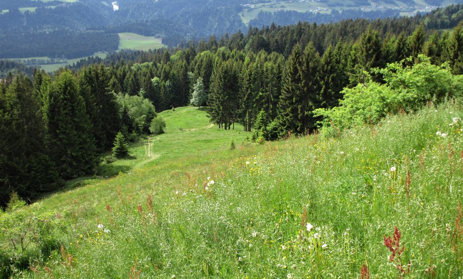 Erich Zucalli - www.guideservice.at Abstieg nach Ãberschreitung des Hirschberges