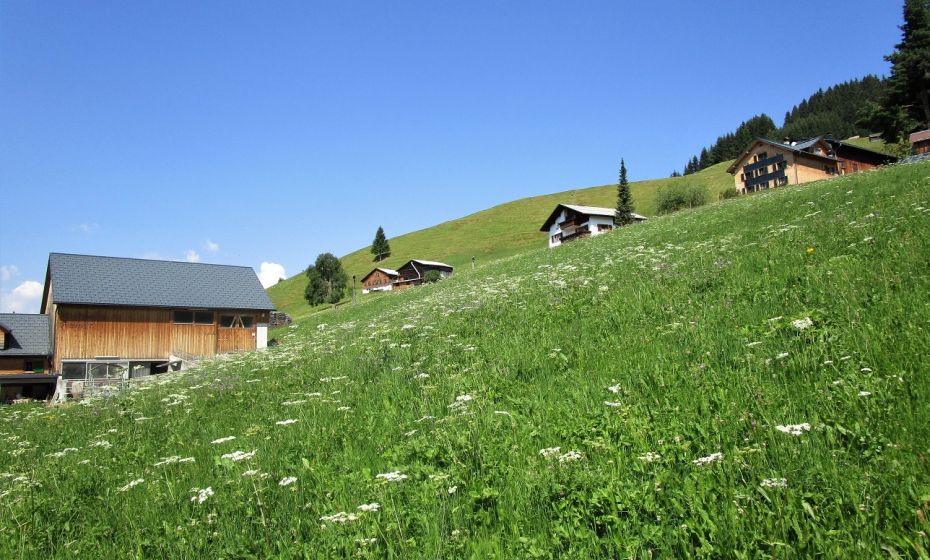 Verstreute HÃ¤user in Oberboacker