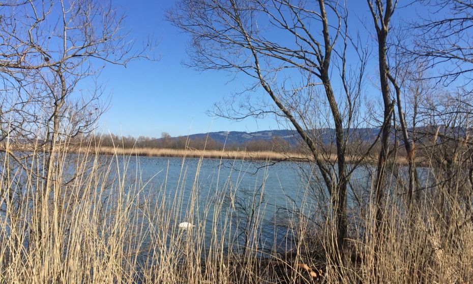 Bodensee-Vorarlberg Tourismus Lagunenrundweg