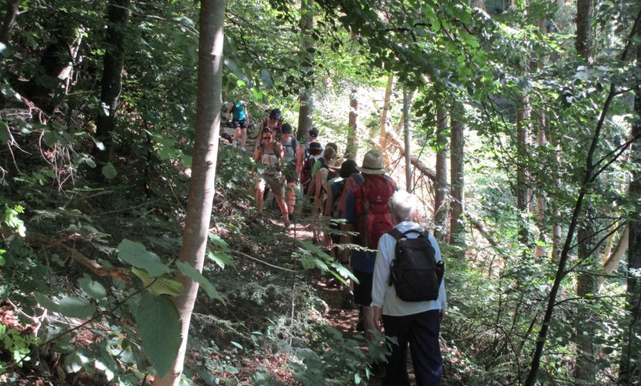 Schattiger Aufstieg zur Schlucht auf dem Meschatle