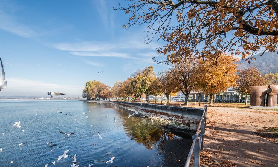 Herbst am See Herbst am See