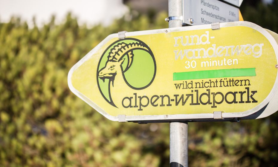 Pfänder Alpenwildpark Pfänder Alpenwildpark