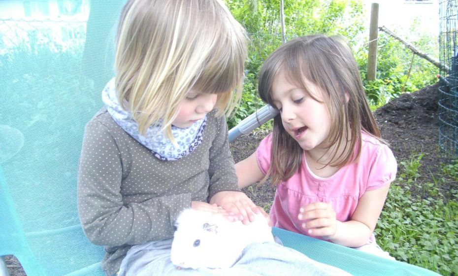 Ferienwohnung Lerch Ferienwohnung Lerch