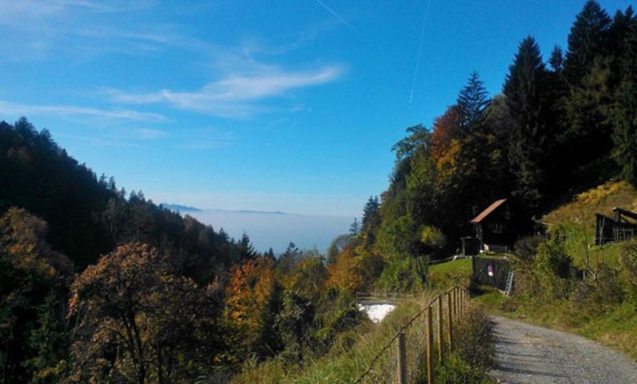 F E R I E N W O H N U N G "Am Halbenstein"