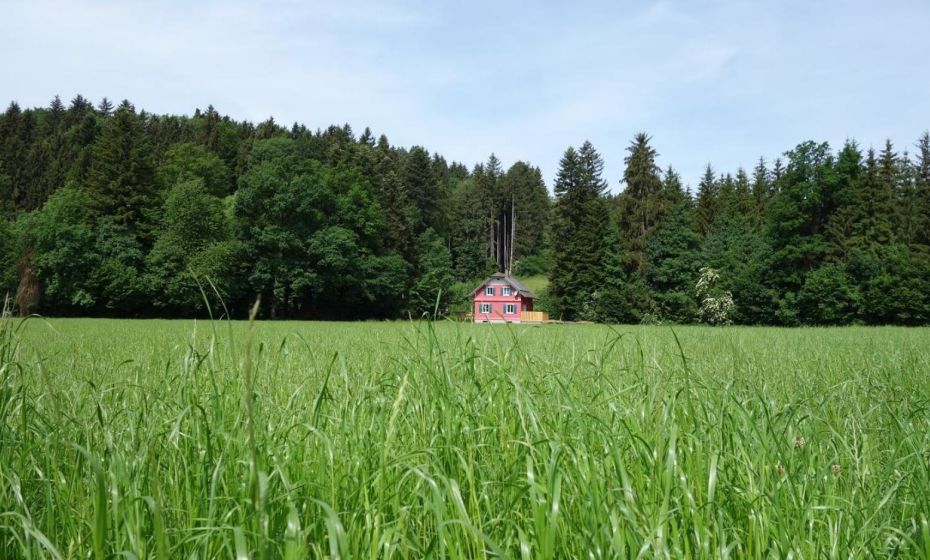 Erwins Ferien-Paradies Erwins Ferien-Paradies