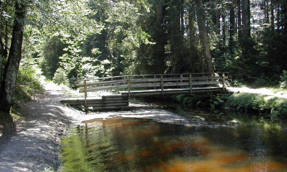 Hotel Marvia Hotel Marvia