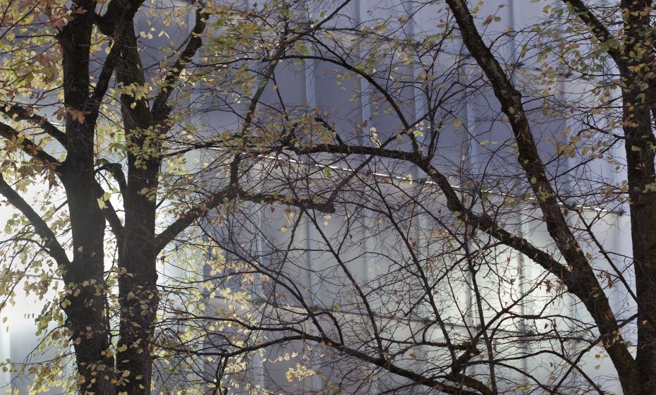 Kunsthaus Bregenz (KUB) Kunsthaus Bregenz (KUB)