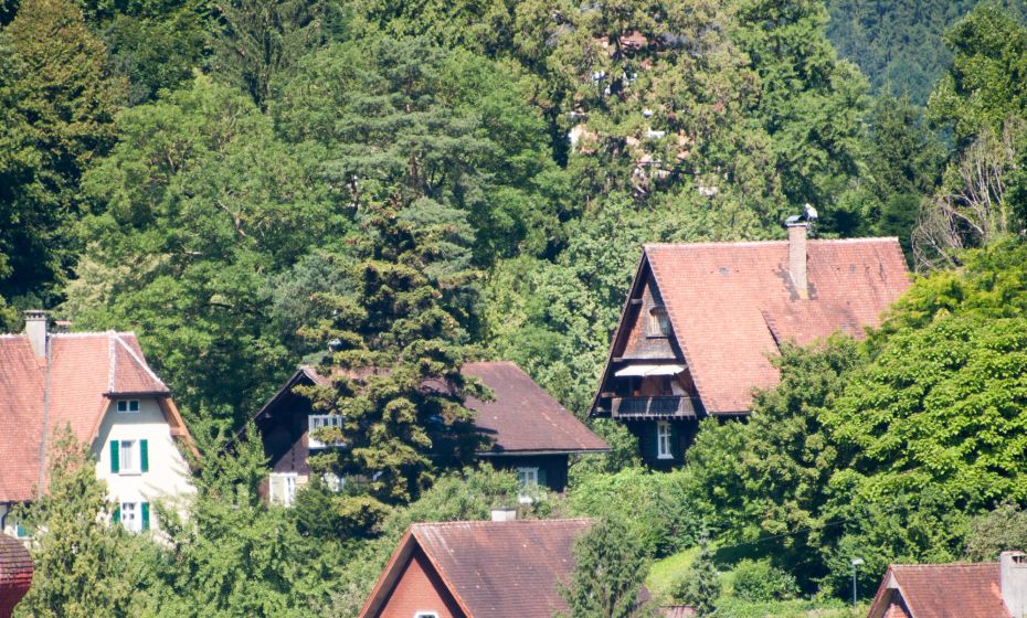 Barbara Neyer Burgruine Tosters