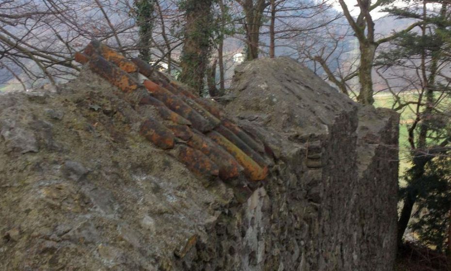 Barbara Neyer .jpg.jpeg