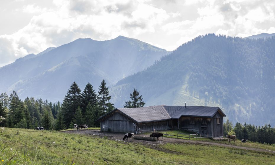 Schneewaldalpe, Dornbirn-Ebnit