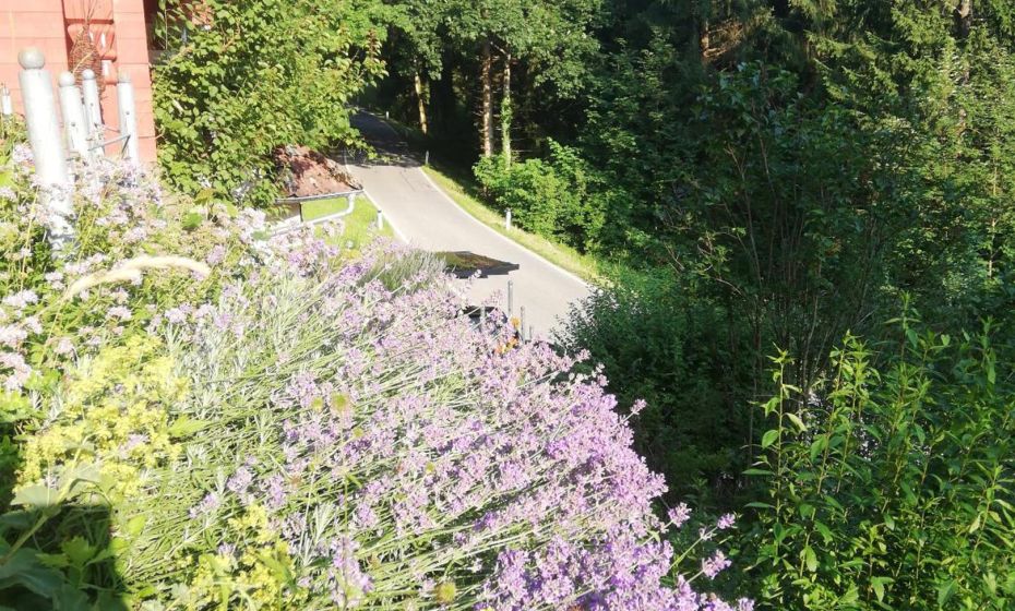 1 ZI Appartement Zauberwald