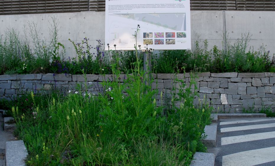 Ankündigung "Wildbienen-Bahnhof" Rankweil Ankündigung "Wildbienen-Bahnhof" Rankweil