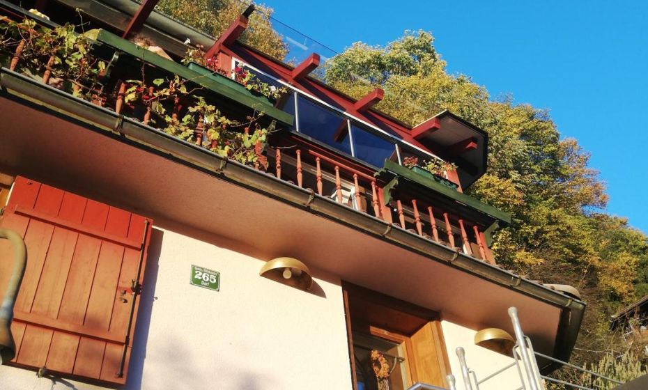 1 ZI Appartement Zauberwald