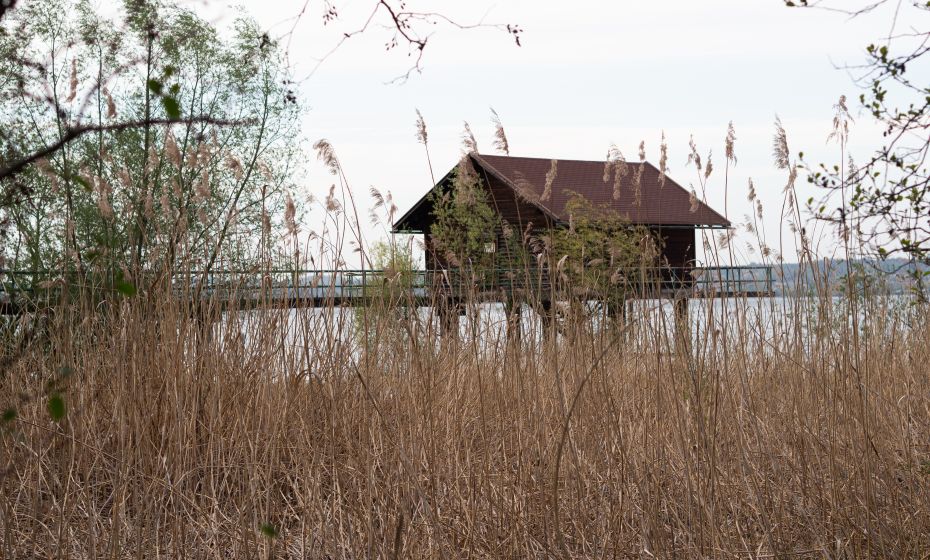 Mehrerau Bodenseeufer Mehrerau Bodenseeufer