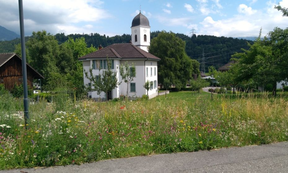 Gemeinde Göfis - Gemeinde Göfis Streuobstwiese