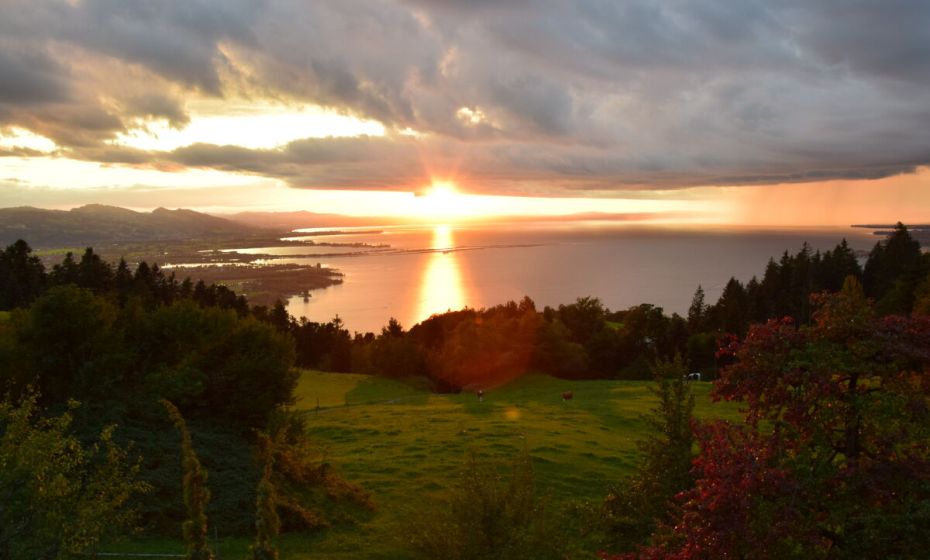 Fewo am PfÃ¤nder, Lochau, Sonnenuntergang