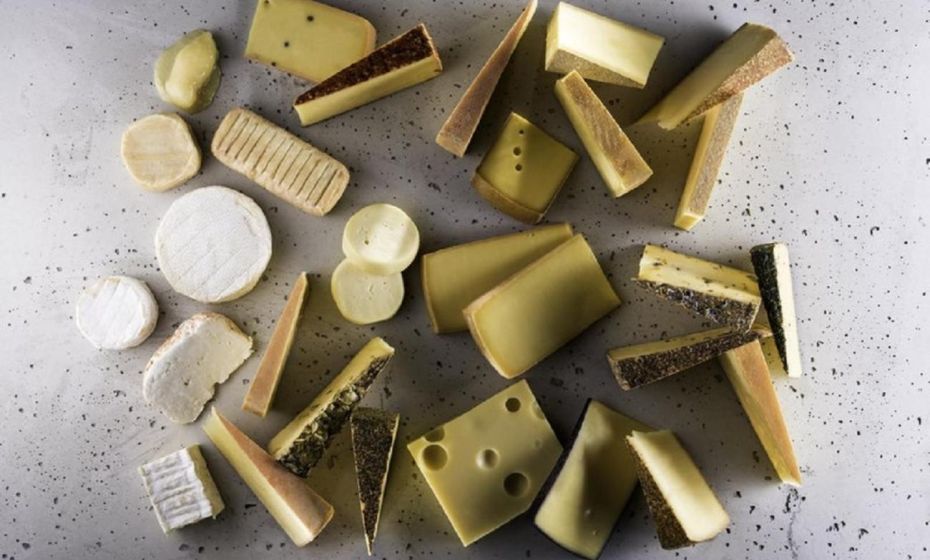 Bodensee-Ferienwohnung Am Ruggbach