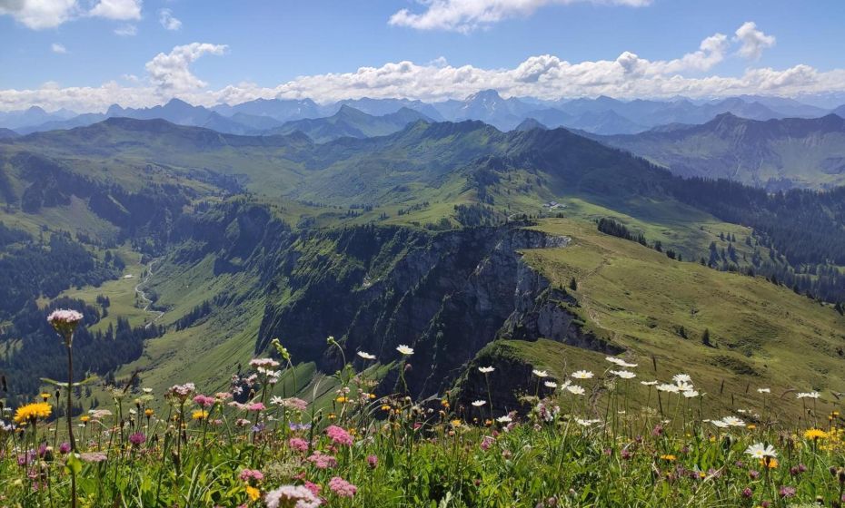 Ferienhaus Haus im Garten