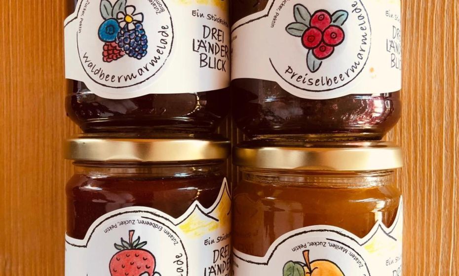 Hotel DreilÃ¤nderblick Dornbirn