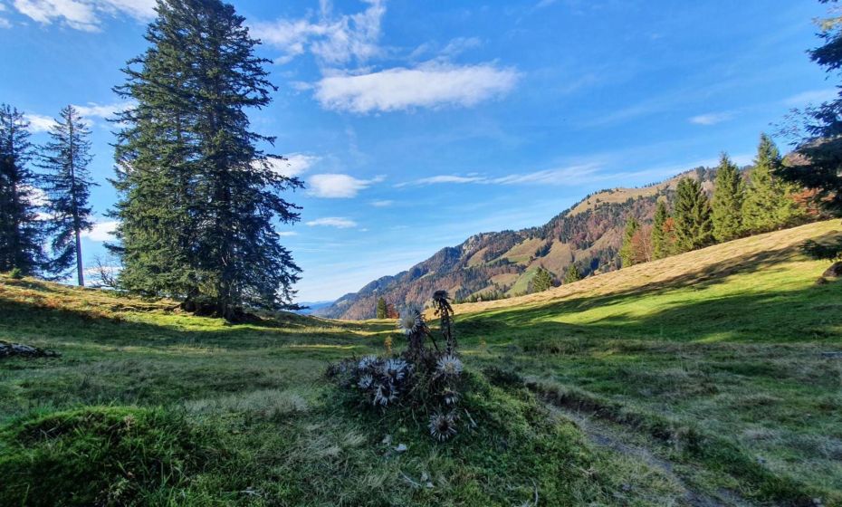 F E R I E N W O H N U N G "Am Halbenstein" F E R I E N W O H N U N G "Am Halbenstein"