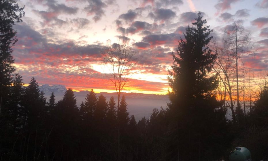 1 ZI Appartement Zauberwald