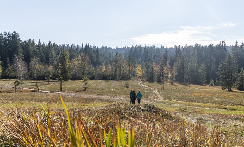 Wanderung durch das Fohramoos