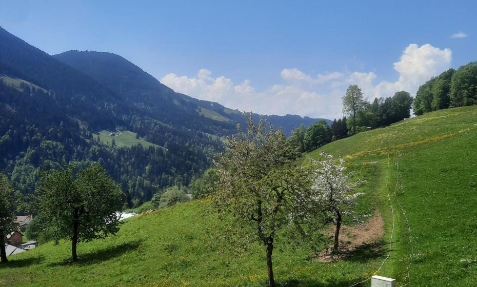 Sunnaschi Appartements - Wohnungen oder gesamt als "HÃ¼tte"