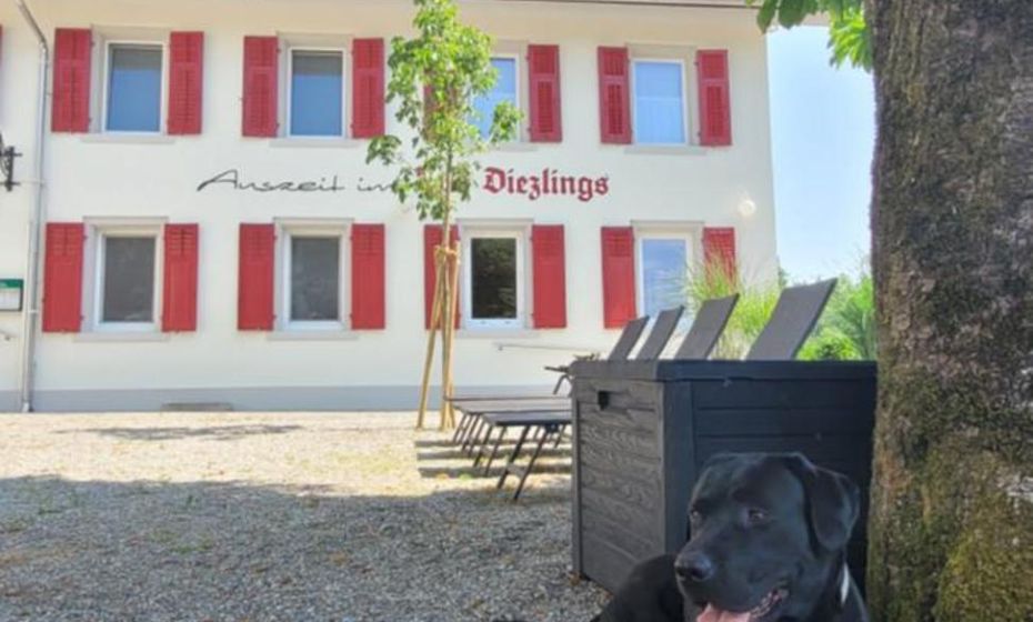 Gasthof - Auszeit im Bad Diezlings - Adults only Gasthof - Auszeit im Bad Diezlings - Adults only