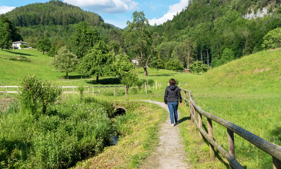 Weg zum Wasserhaus St. Arbogast