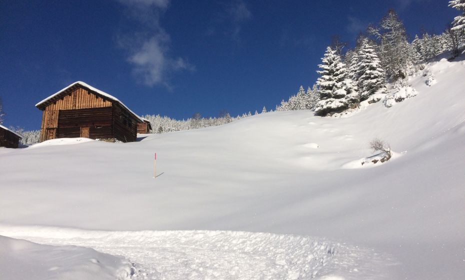 Gebiet Nähe Pfaua Gebiet Nähe Pfaua