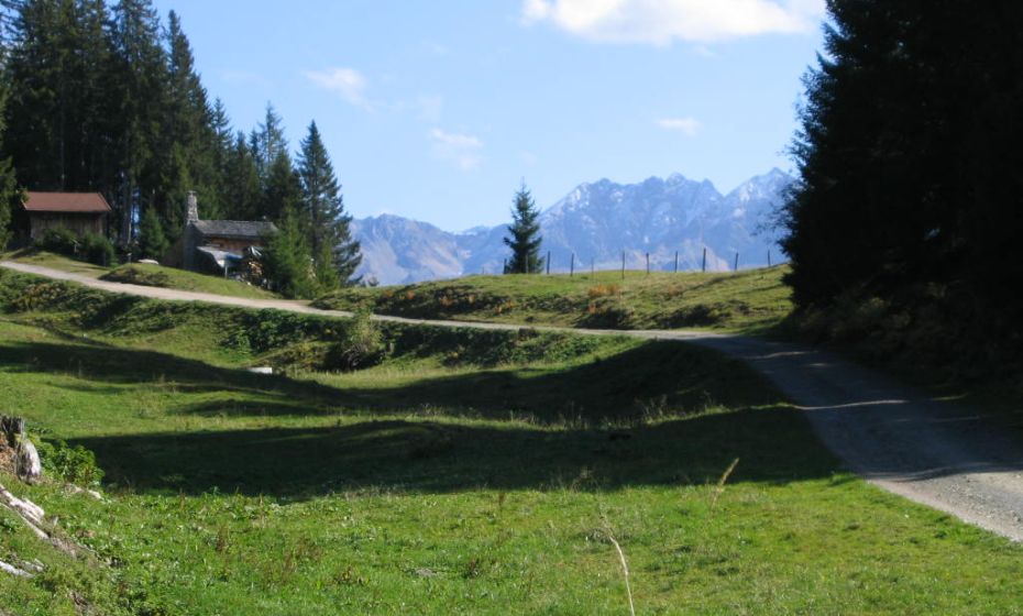 "Bärger Alma" "Bärger Alma"