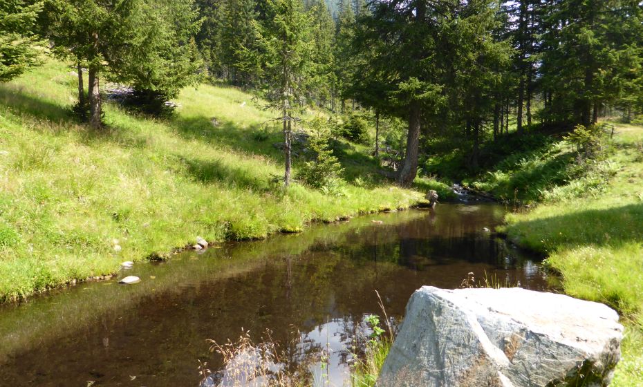 Hinteres Silbertal im Europaschutzgebiet Verwall Hinteres Silbertal im Europaschutzgebiet Verwall