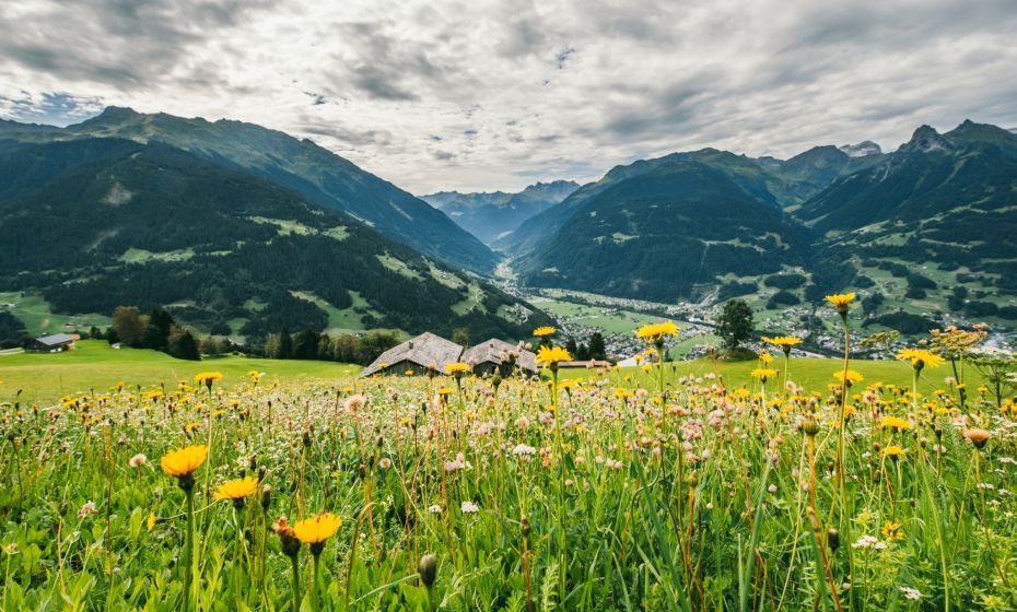 Blick ins Tal Blick ins Tal