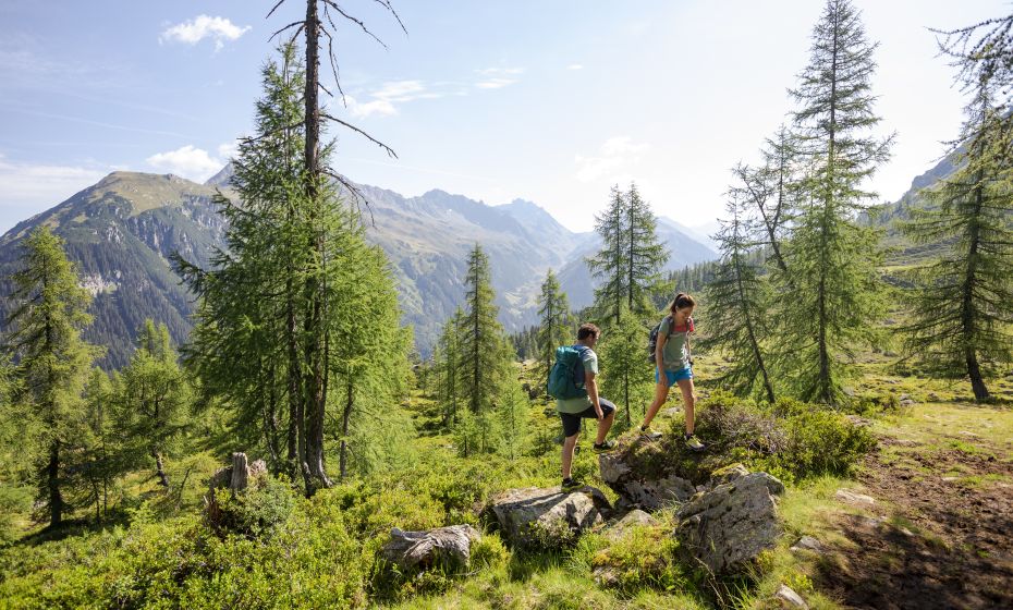 Wanderung Alpguesalpe
