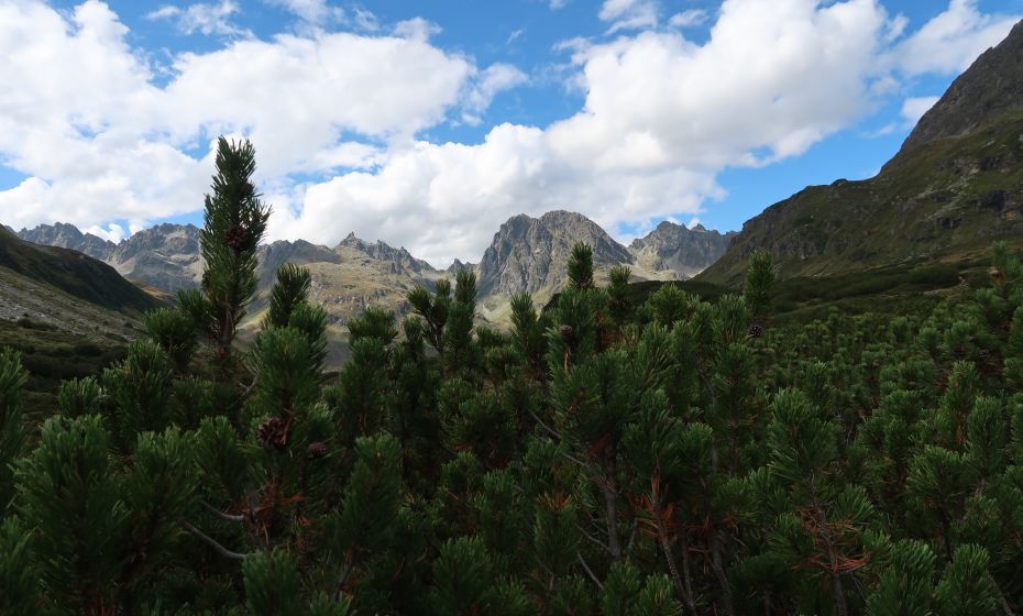 Der Blick zurück auf die Hochmadererspitze Der Blick zurück auf die Hochmadererspitze