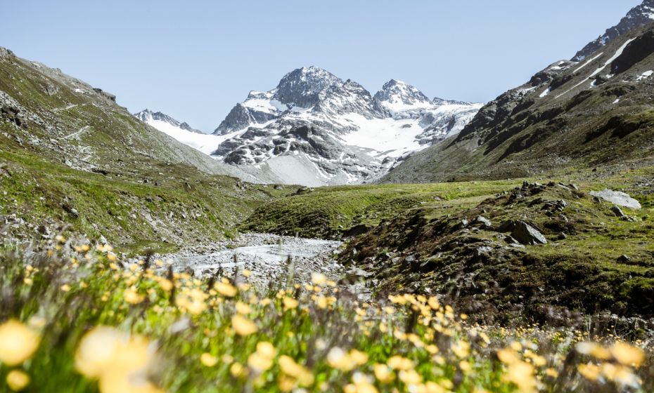 Ochsental mit dem Piz Buin