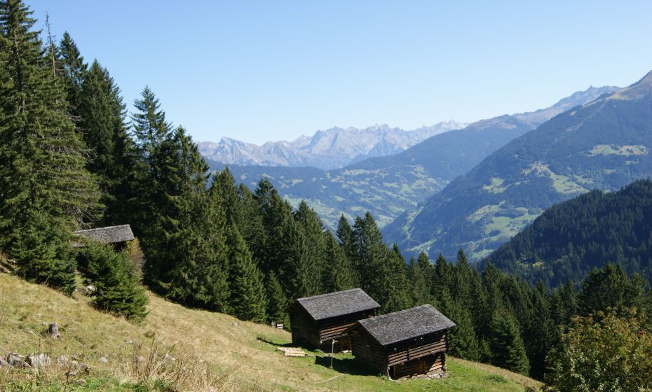 MaisÃ¤Ãe auf Plazadels