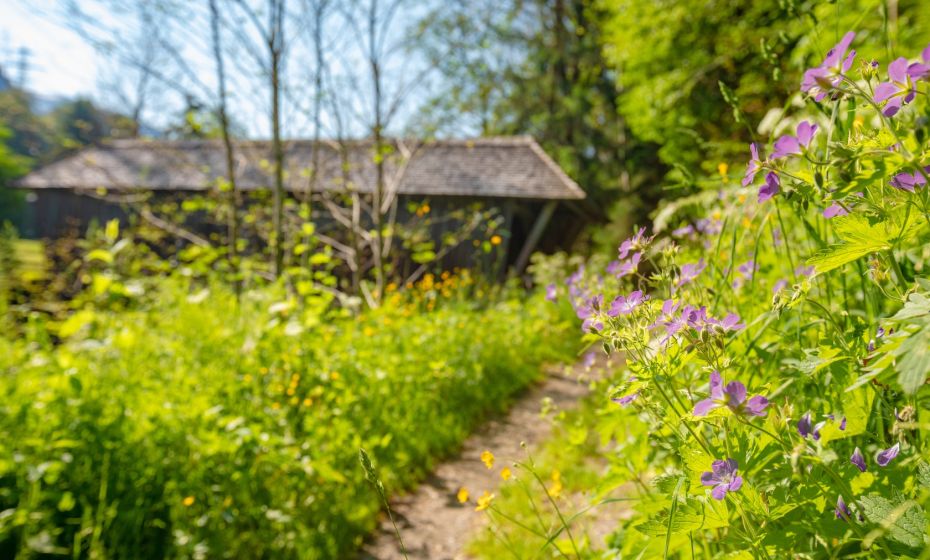Talweg von St. Gallenkirch nach Partenen